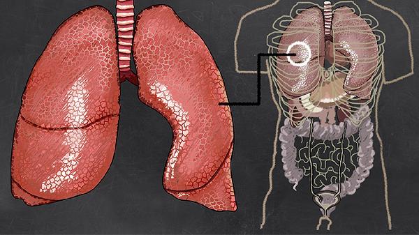 秋天雾霾严峻易患病？教你4招做到科学防护，少患病！